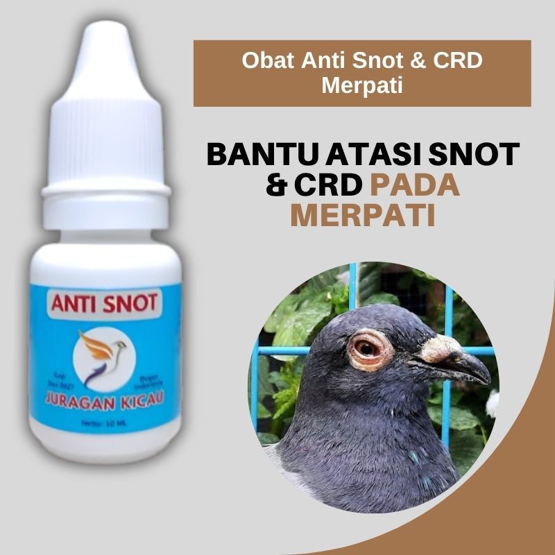 Obat Anti Snot CRD Merpati Mata Bengkak Katarak Berair Dll
