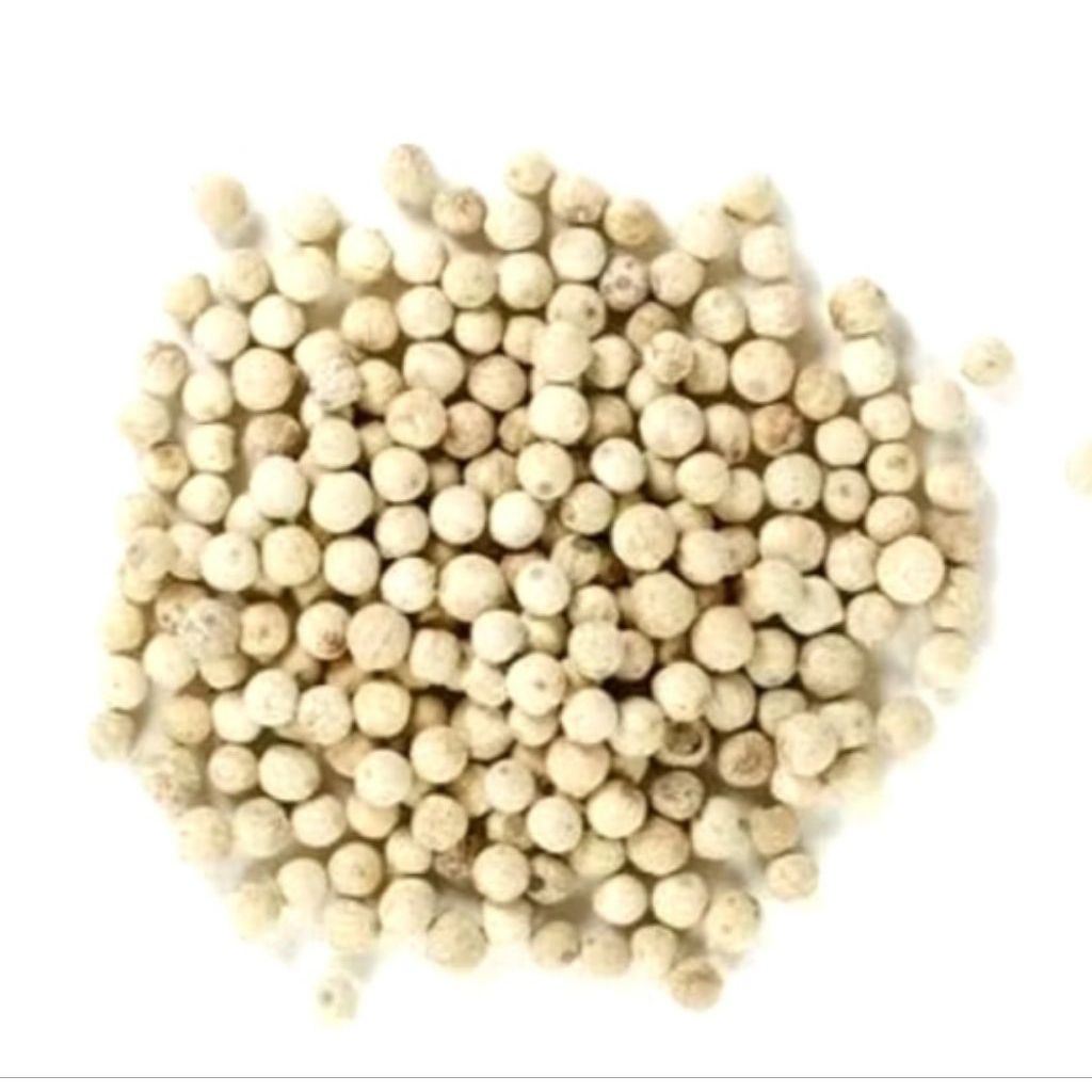 

MERICA (Putih)/LADA (Putih)