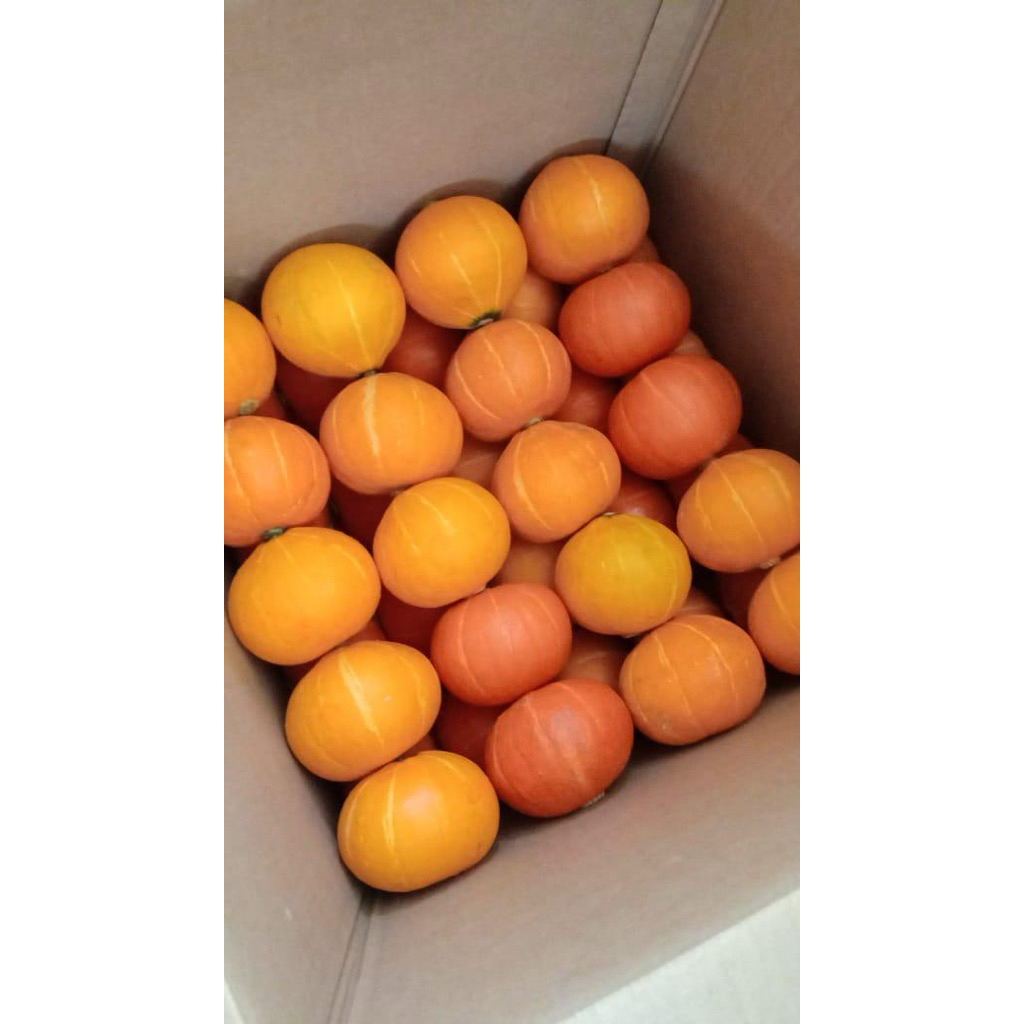 

Labu Kabocha 1 bj ready stock