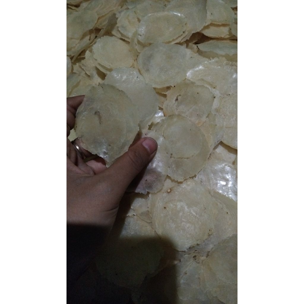 

EMPING MELINJO ASLI KEBUMEN