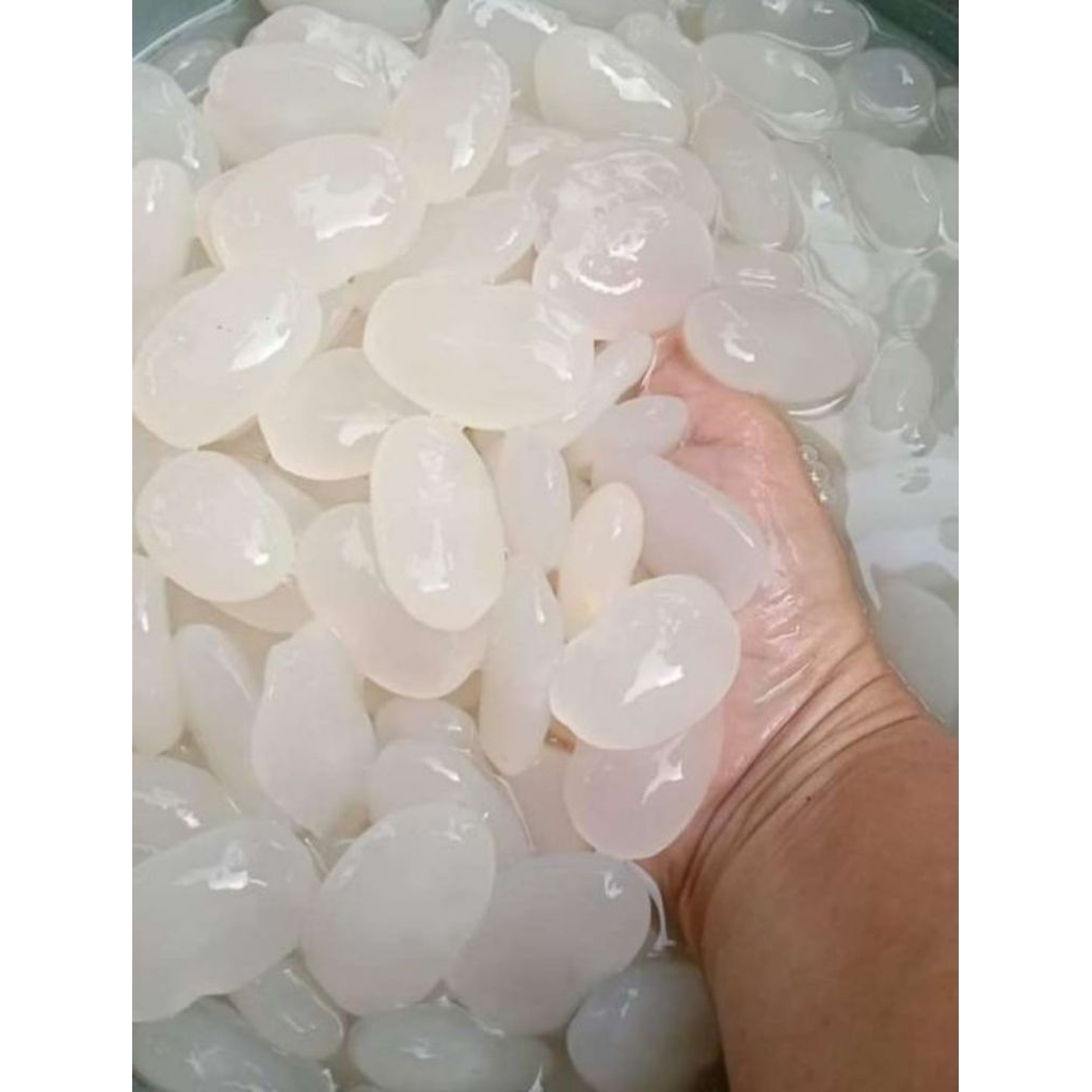 

Kolang Kaling Segar Muda Berat 500 Gram 100% Alami