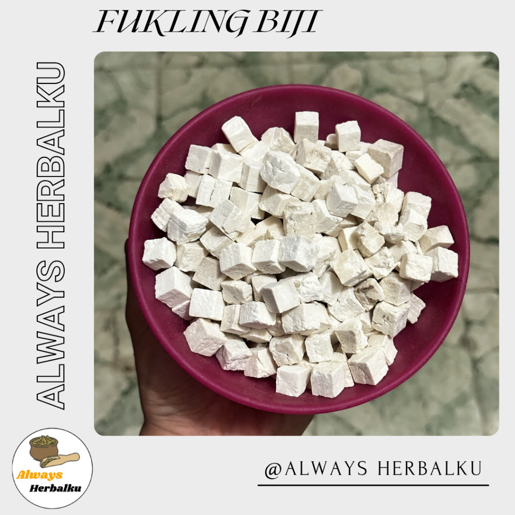 

Fu ling biji / Poria / Fukling biji / Poria Cocos (100gr)