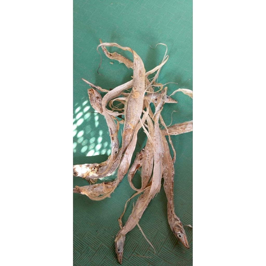 

ikan layur atau ikan canteng utuh tawar kemasan 1kg