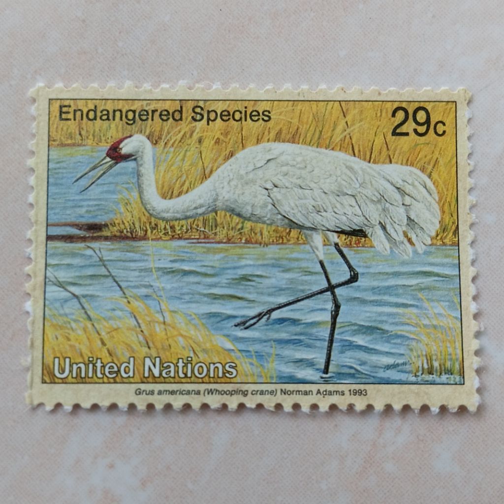 

Perangko Prangko Jadul UNO New York Endangered Species 1993 Mint - YN2620