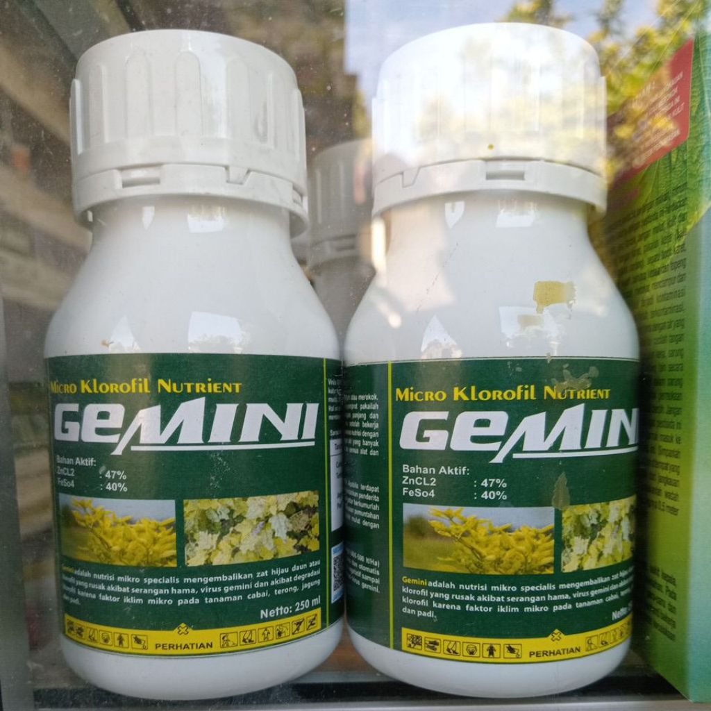 Gemini 250 ml (Mengatasi Virus Gemini)