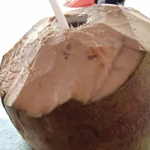 

kelapa muda (tersedia pkl 09.00)