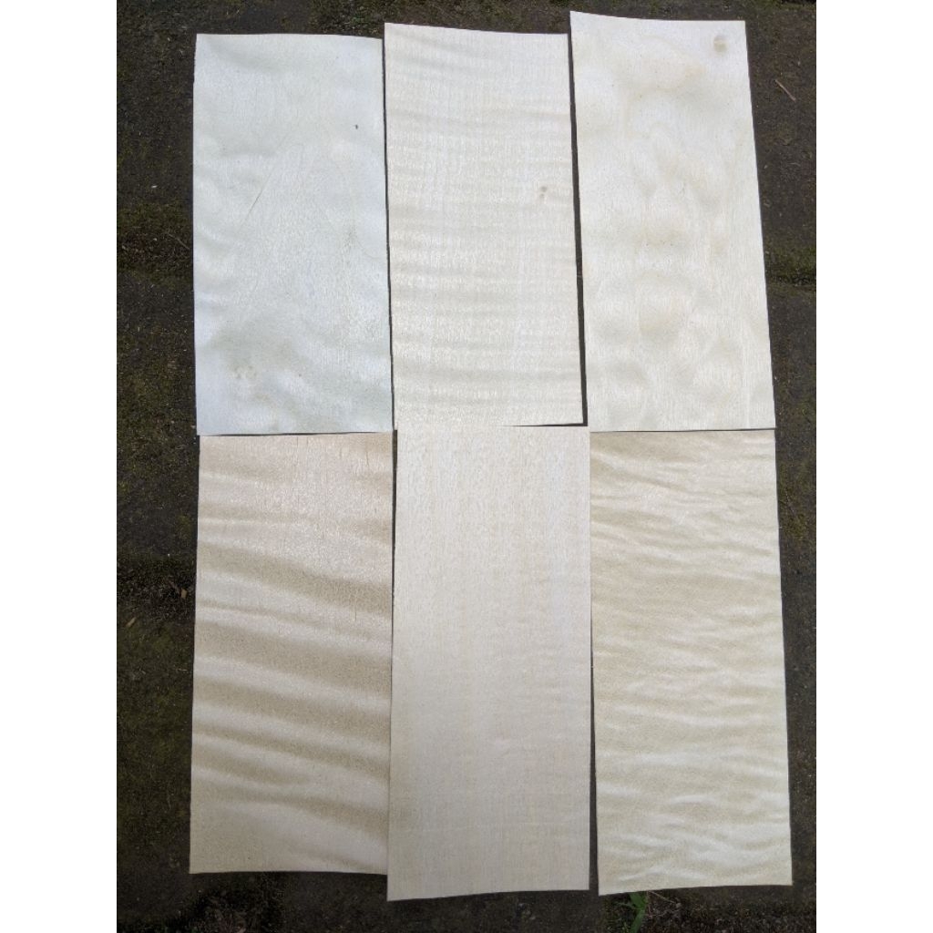 veneer kayu tipis 0,45 x 6 x 10-15 cm hard maple curly