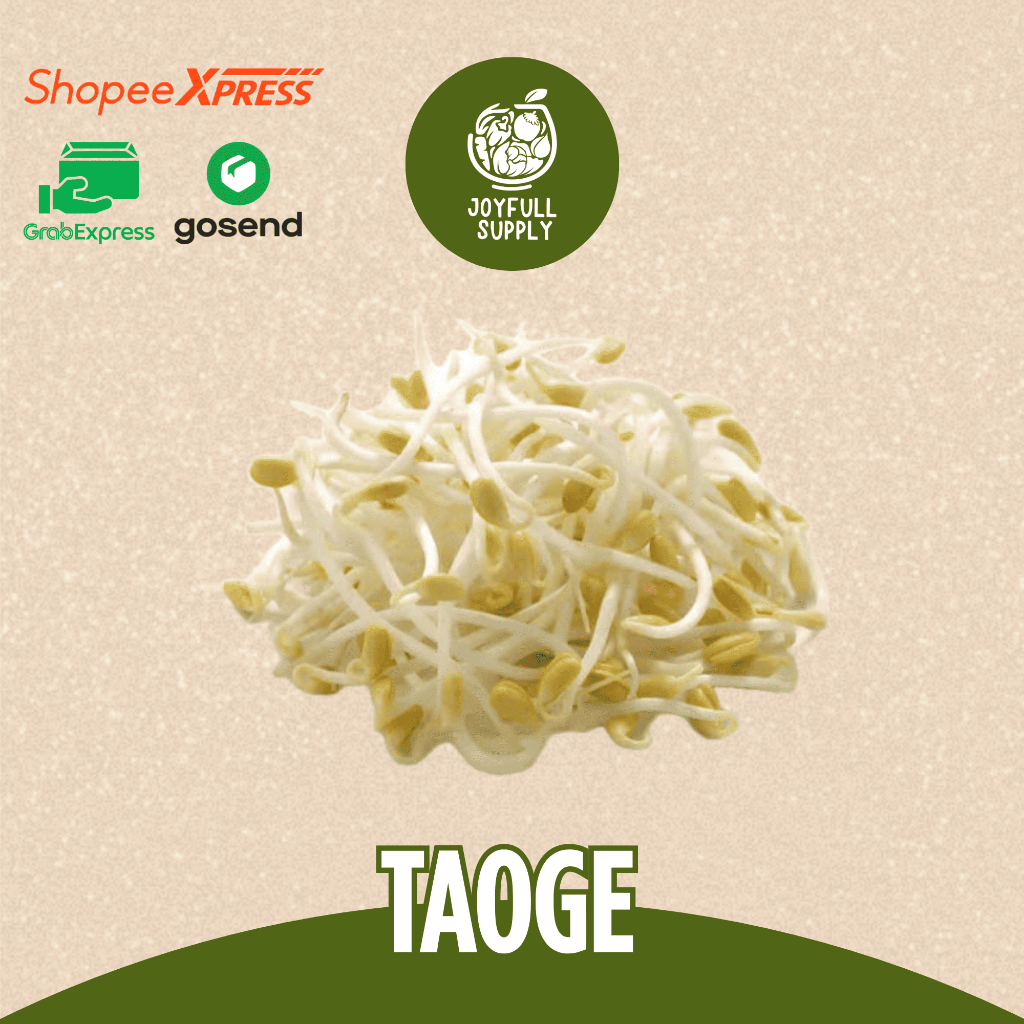 

INSTAN Taoge / Kecambah / Joyfull Supply