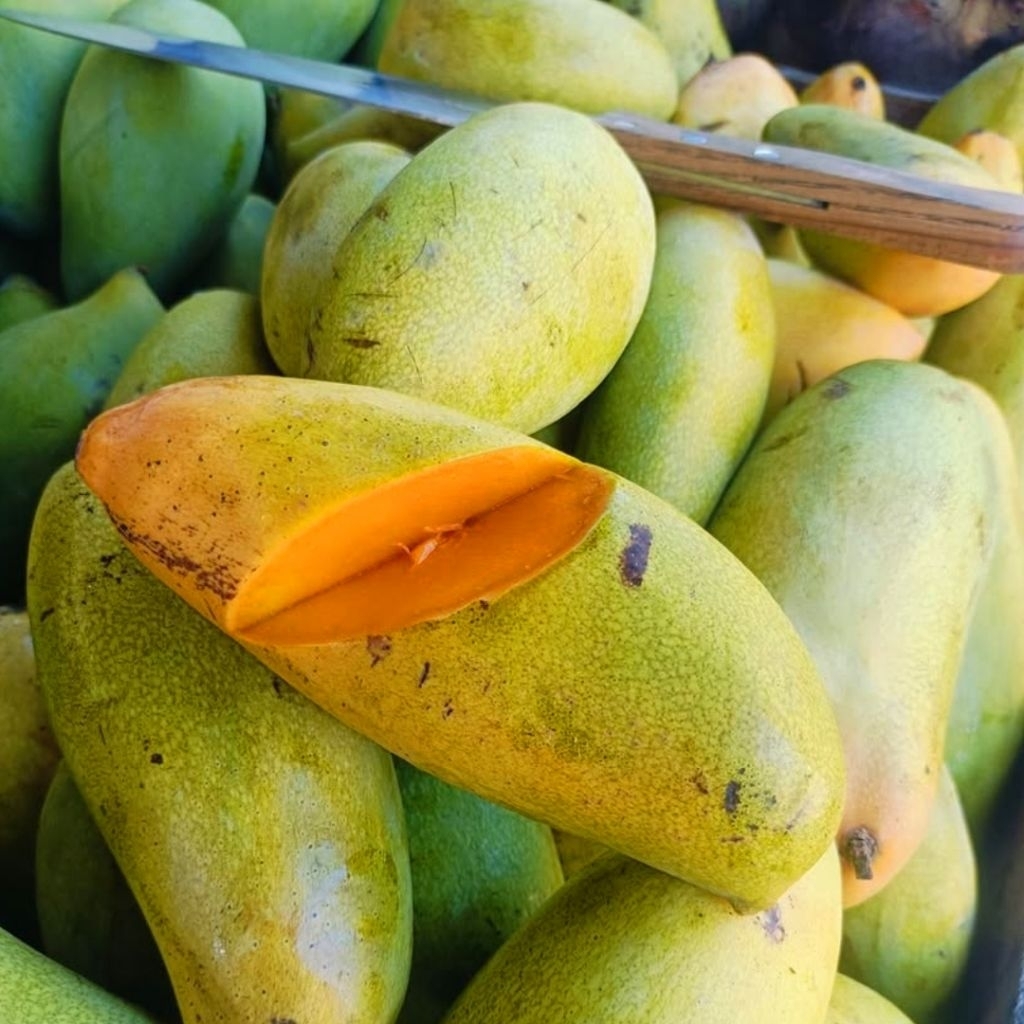 

Mangga Golek