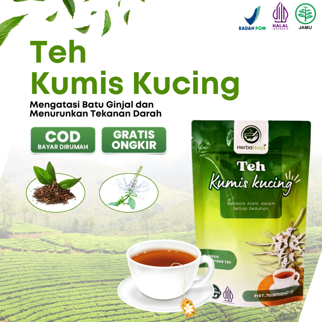 

Teh Hebral Kumis Kucing Bantu Atasi Batu Ginjal, Mengatasi ISK 1 pack isi 20 kantong teh Halal