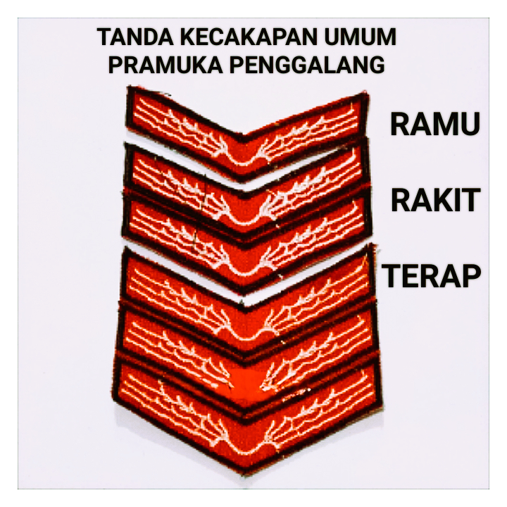 Atribut Pramuka TANDA KECAKAPAN UMUM PENGGALANG / Bet Baju Pramuka Penggalang