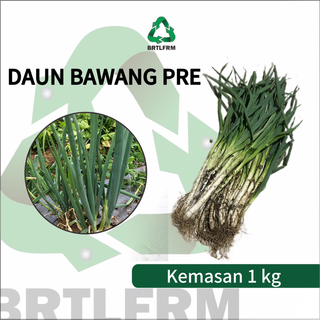 

DAUN BAWANG PRE SEGAR 1 KG