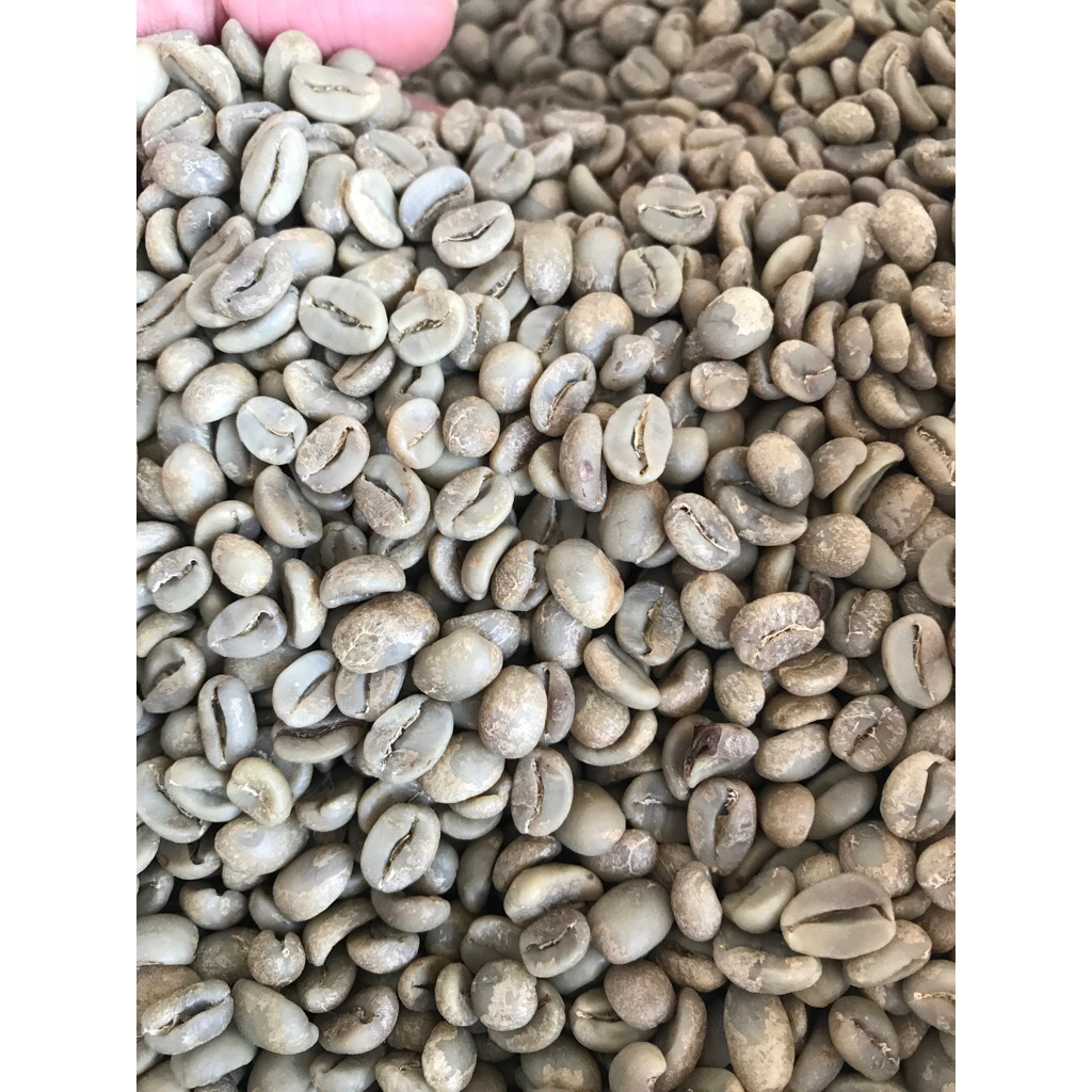 

Green Bean Arabika Bali Kintamani FW