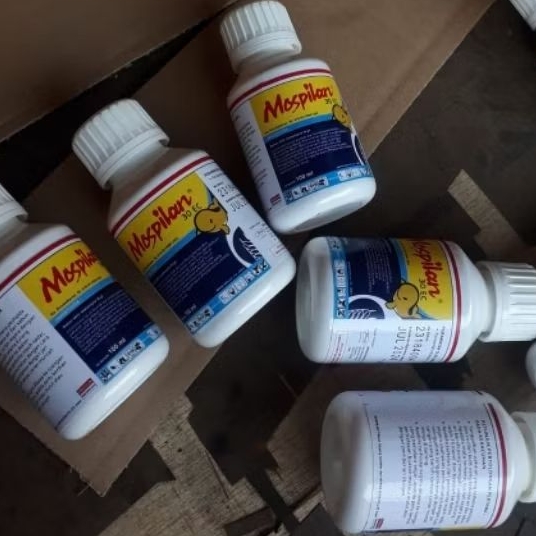 obat lalat buah dan ulat tanaman gurem dan kutu ternak