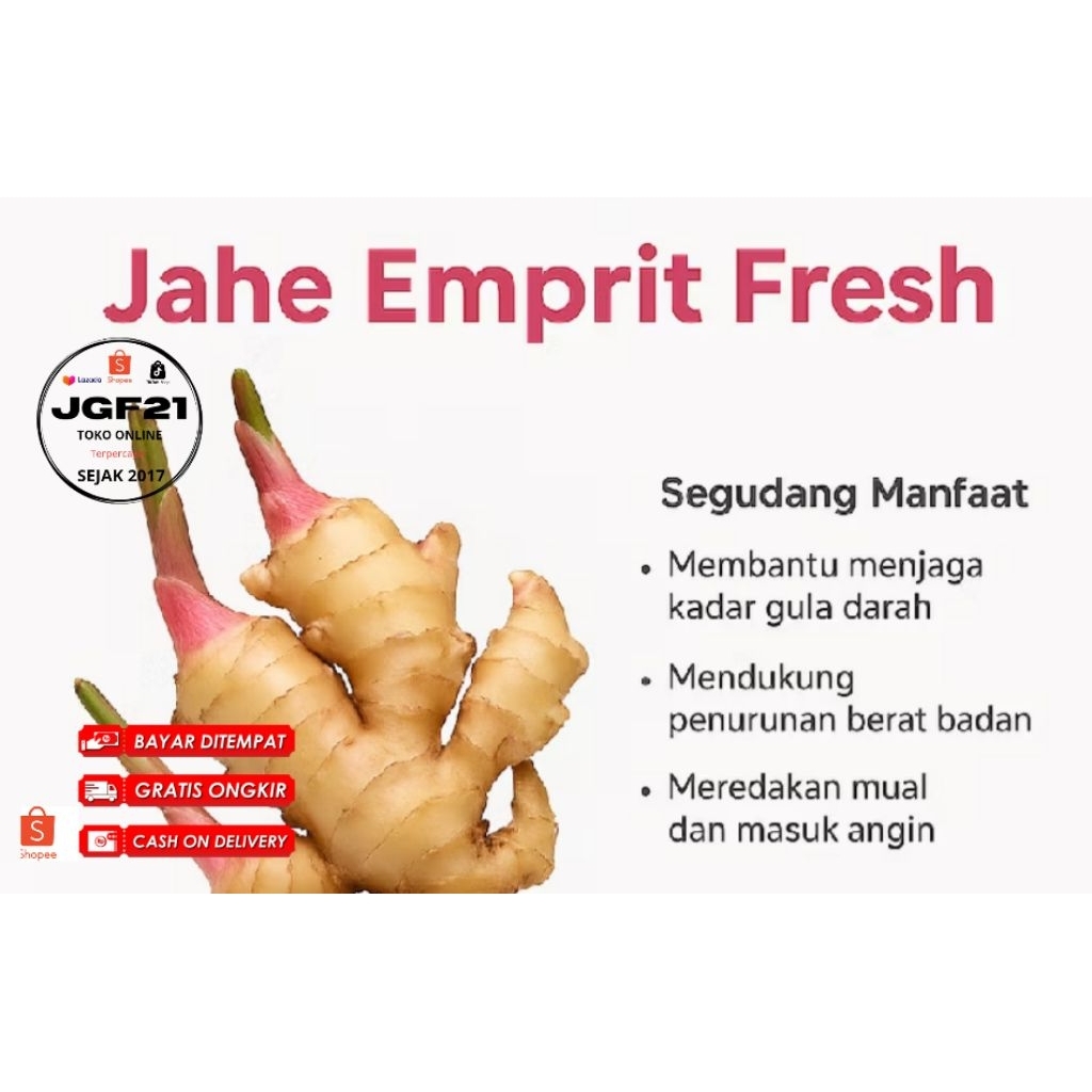 

TERMURAH NO.1 JAHE EMPRIT - JAWA- SUPER- SEGAR- PEDAS- MURAH- BUMBU DAPUR- KESEHATAN KEMASAN 500GR- 1KG