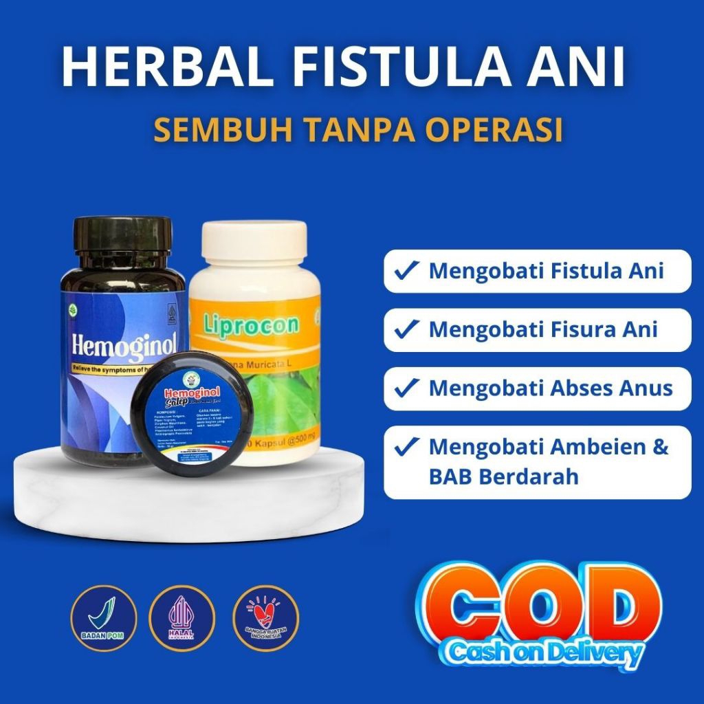 Paket Obat Herbal Ampuh Atasi Fistula Ani/Fisura Ani Abses Anus Perianal
