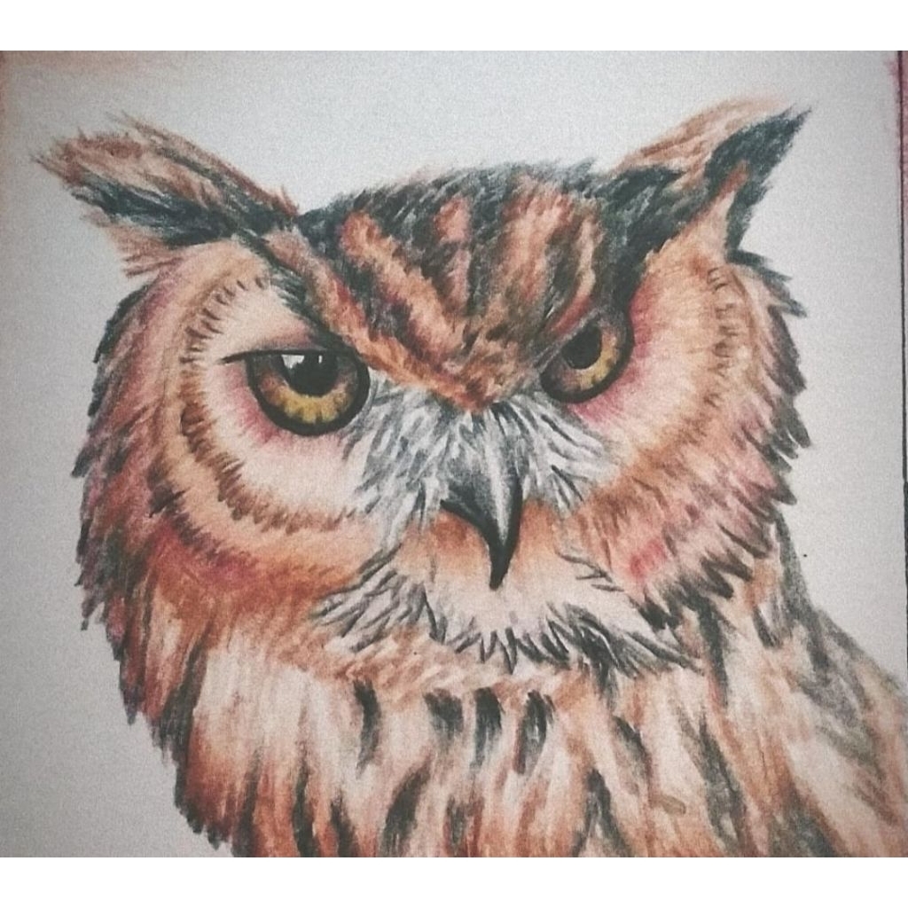 

Jasa Gambar tema hewan/fauna