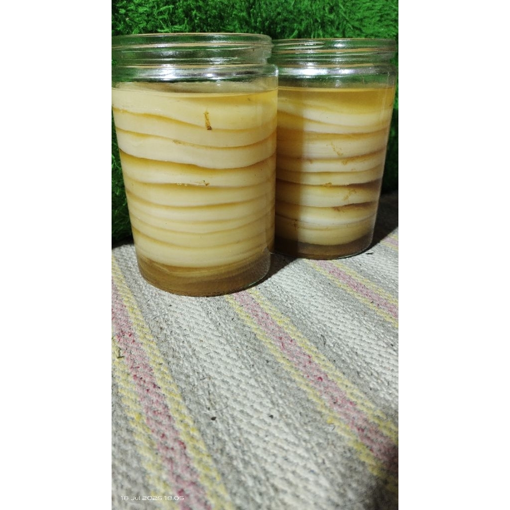 

kombucha scooby aktif ( cepat beranak ) 9cm beli 3 free 1random