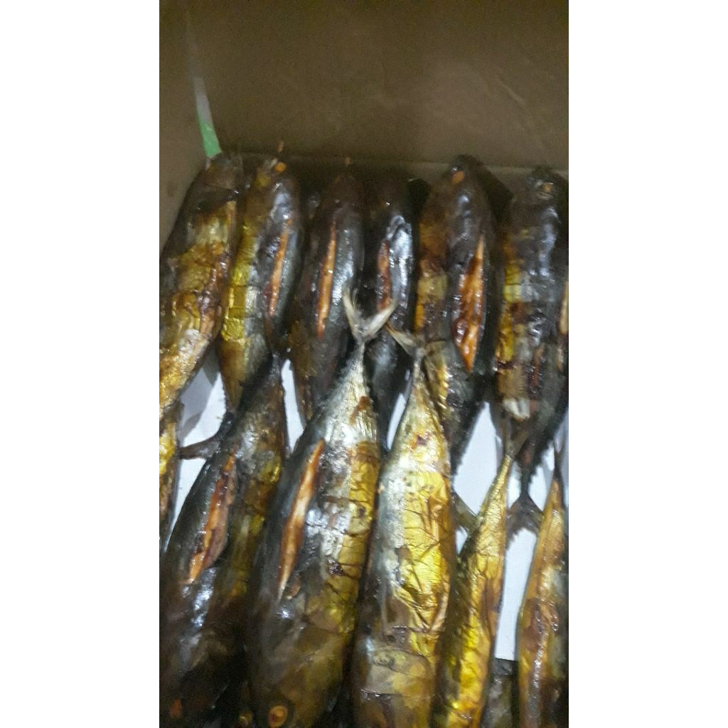 

ikan asap baby tuna isi 3 ekor