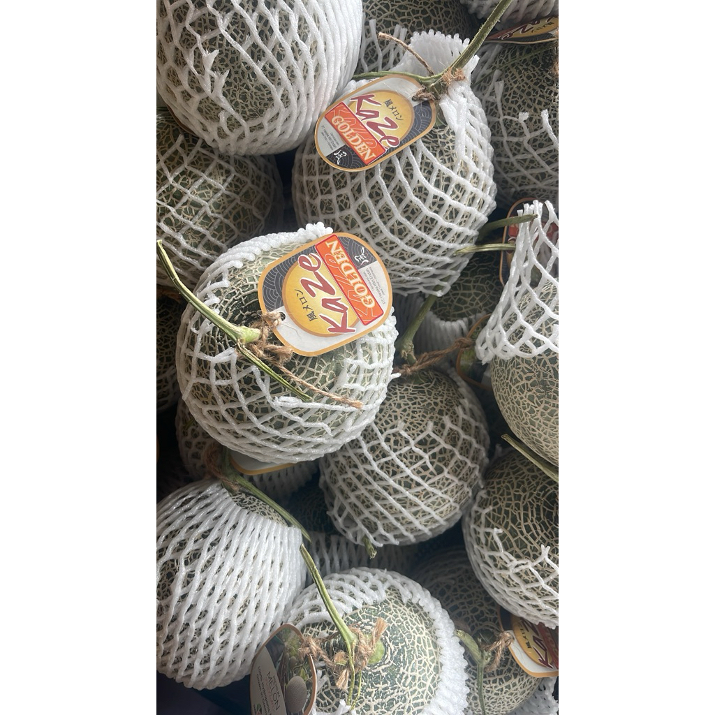 

Melon Golden Kaze | Melon Jepang Import Fresh | Pcs