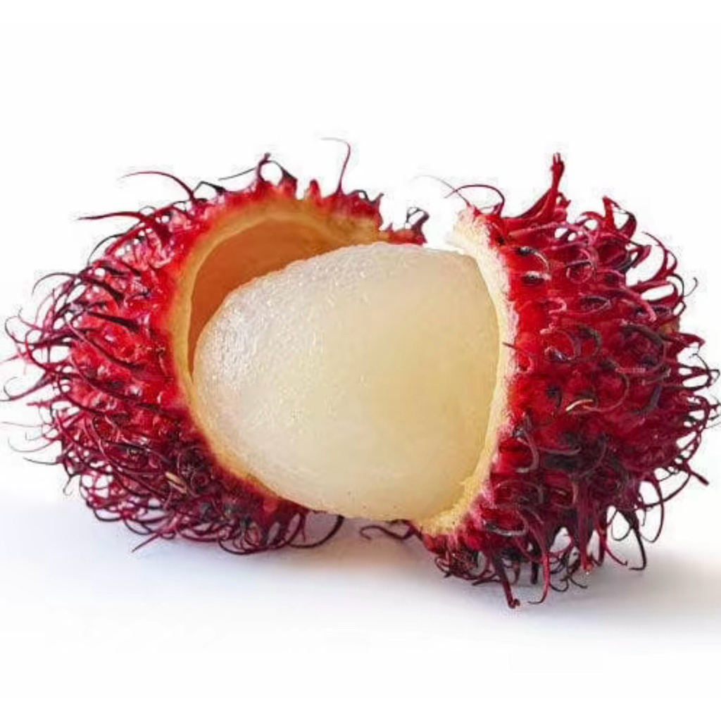 

Rambutan Binjay Super manis Fresh 500gram
