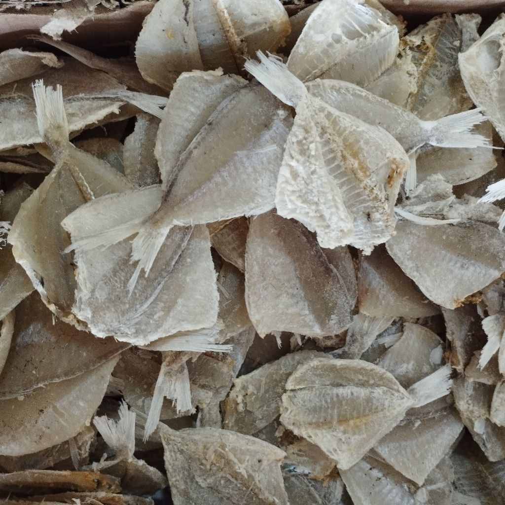 

IKAN ASIN KAPASAN KEMASAN 500GR DAN 1KG