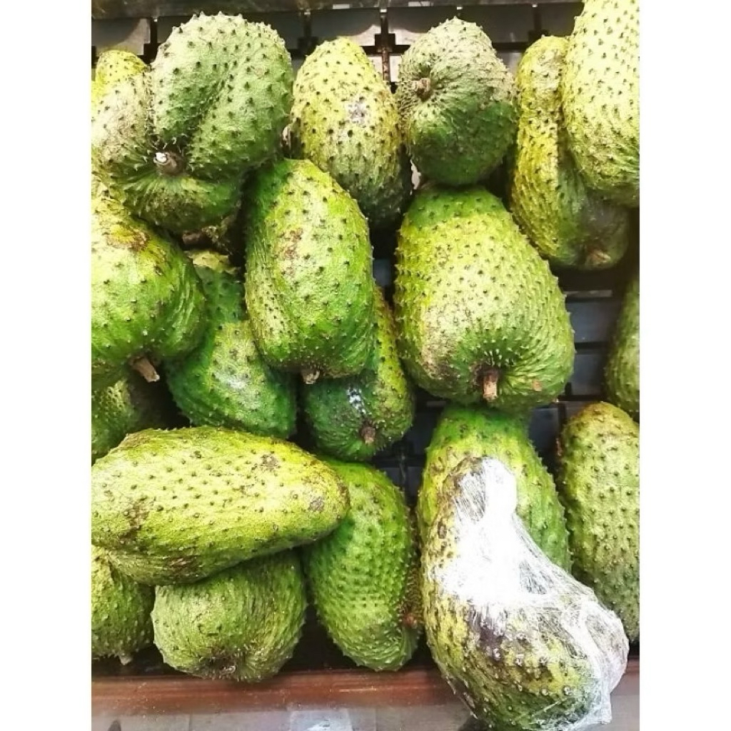 

Buah Sirsak Jumbo Fresh 1kg
