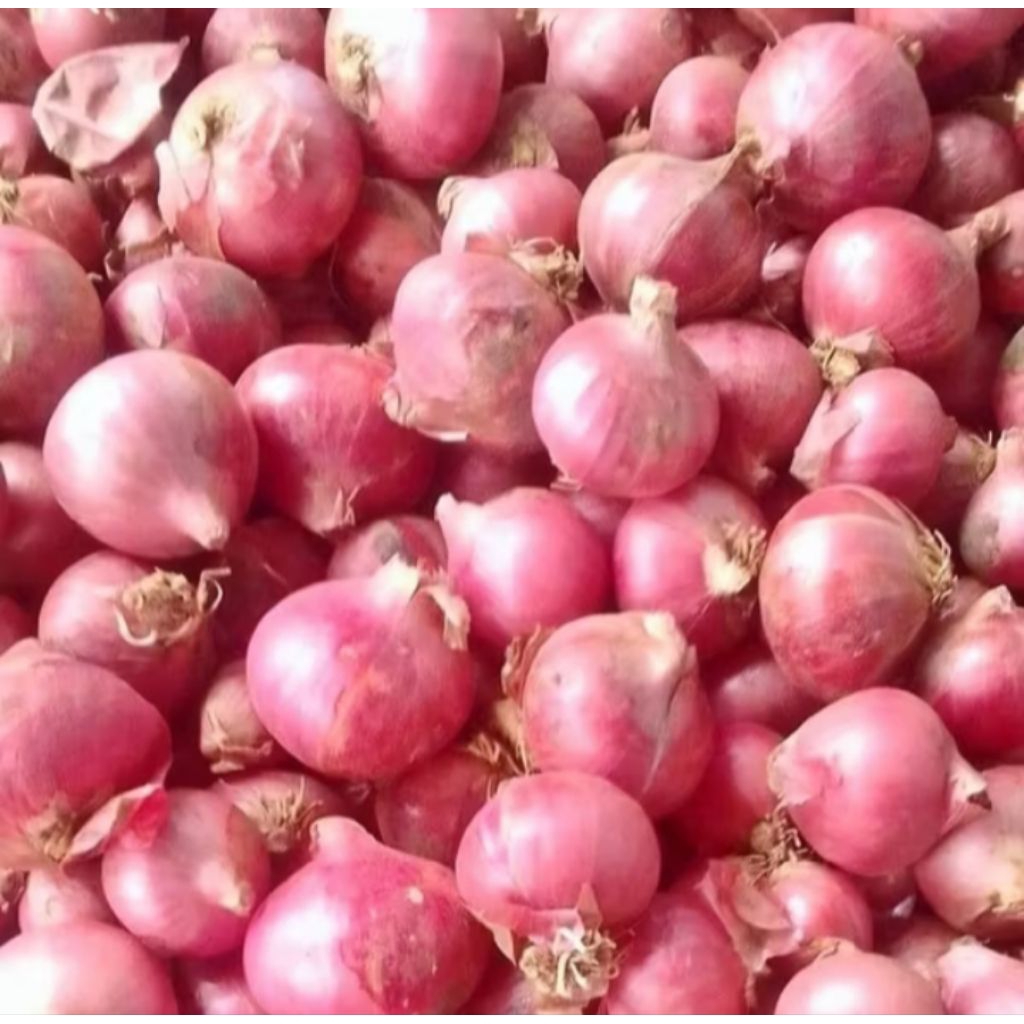 

bawang super khas garut 1kg