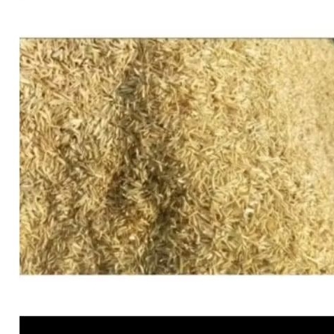 sekam padi mentah (kulit padi) 1 karung UK 5