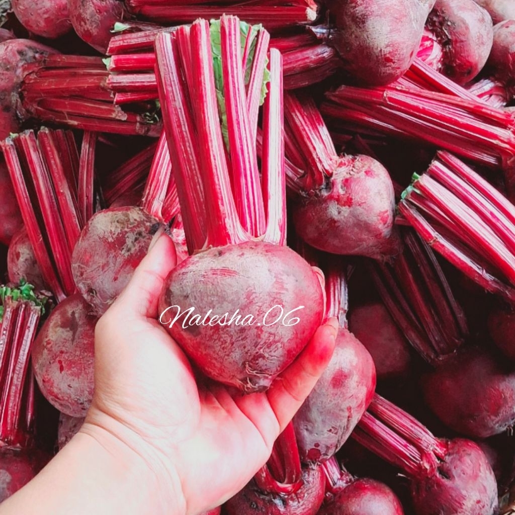 

Buah Bit /Beet Root fresh 1kg Organik