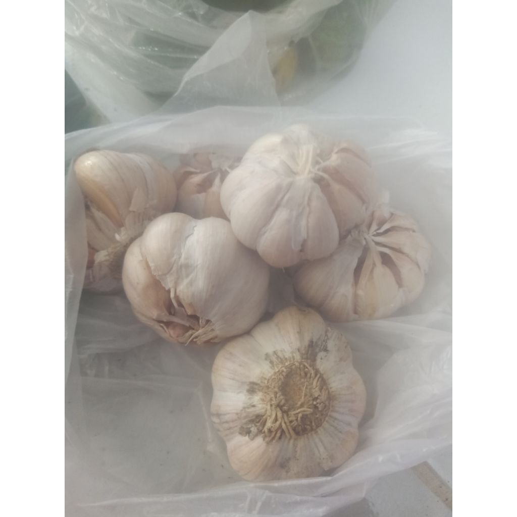 

bawang putih 250 gram