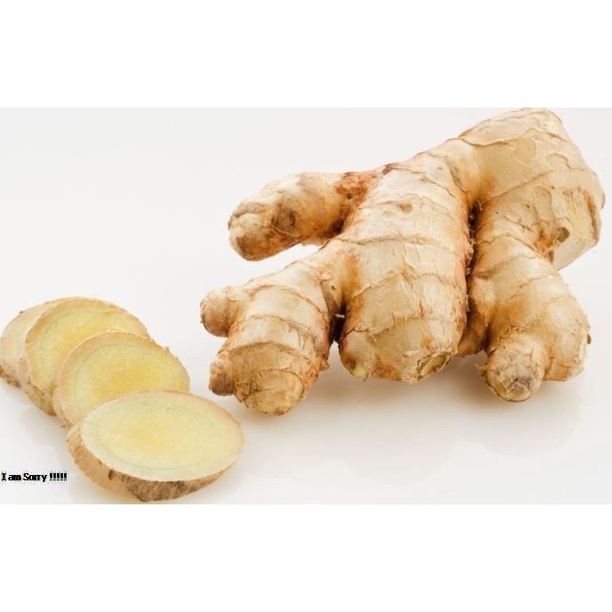 

kunyit putih paket 1 kg murah