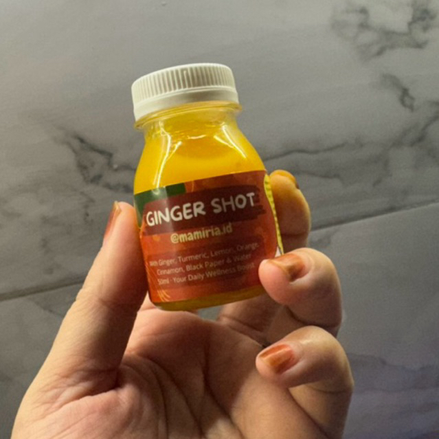 

Wellnessdrink - Ginger Shot 50ml