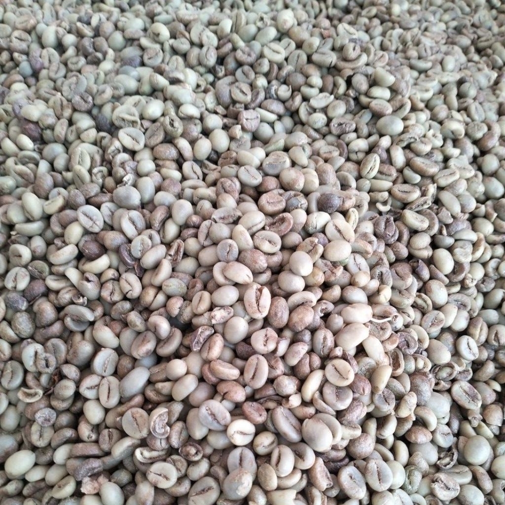 

kopi robusta Garahan 1kg tebus murah