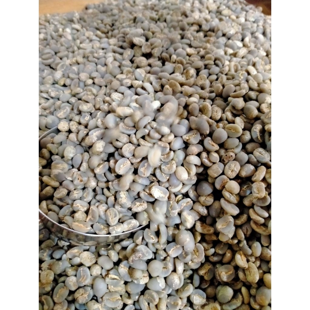 

Kopi Green Been Arabika Semi wush/Washed grade 1kg kualitas Premium Dari Tanoh Gayo