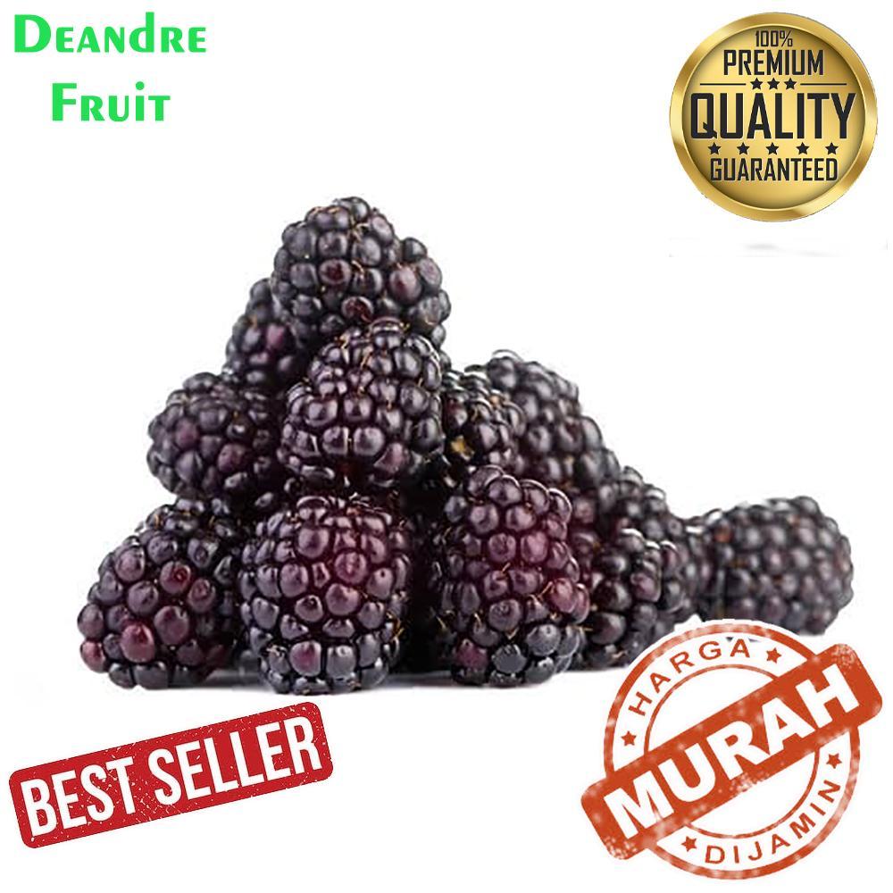 

GROSIR MURAH 1kg Blackberry Frozen 10x100gr Buah Beku Mulberry Murbei