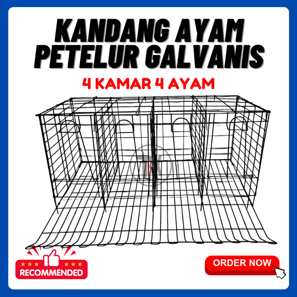 Kandang Ayam Petelur/Baterai Galvanis | 4 Ayam 4 Kamar