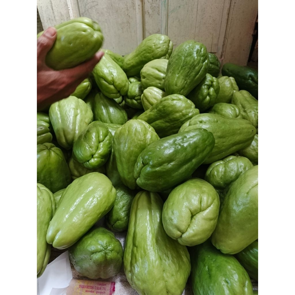 

Labu Siam sayur fresh 1 Kg / Labu Siam untuk sayuran