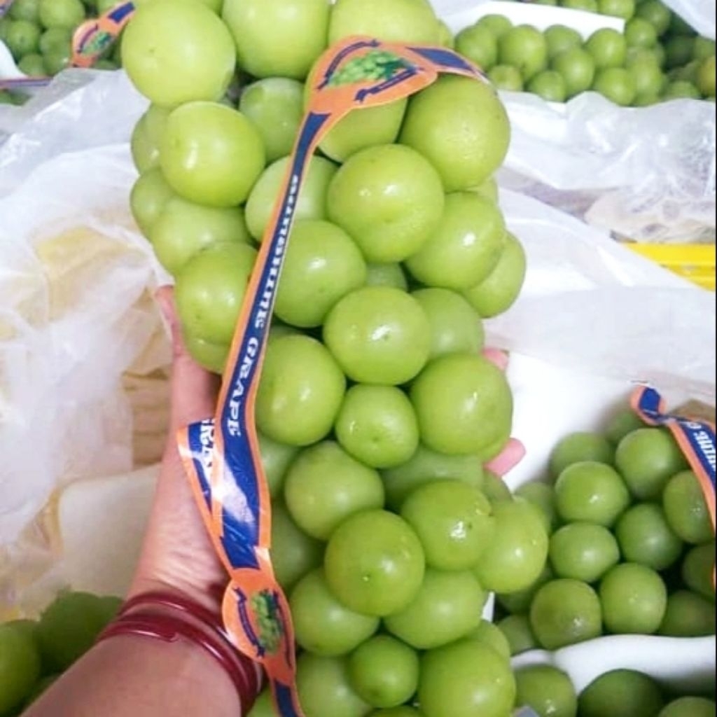 

Buah Anggur Ijo Shine Muscat Manis Premium Tanpa Biji