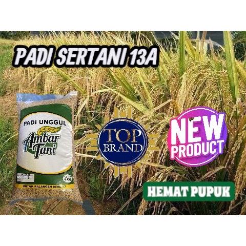 BIBIT BENIH PADI SERTANI 13A KEMASAN 5KG