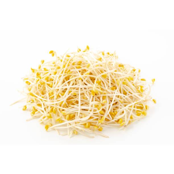 

HarvestMoon Tauge Panjang / Tauge Bangkok @500gr