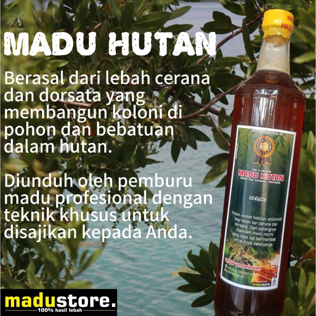 

MADU ASLI HUTAN BANYUWANGI LEBAH DORSATA || JAMINAN 100% ASLI HASIL LEBAH