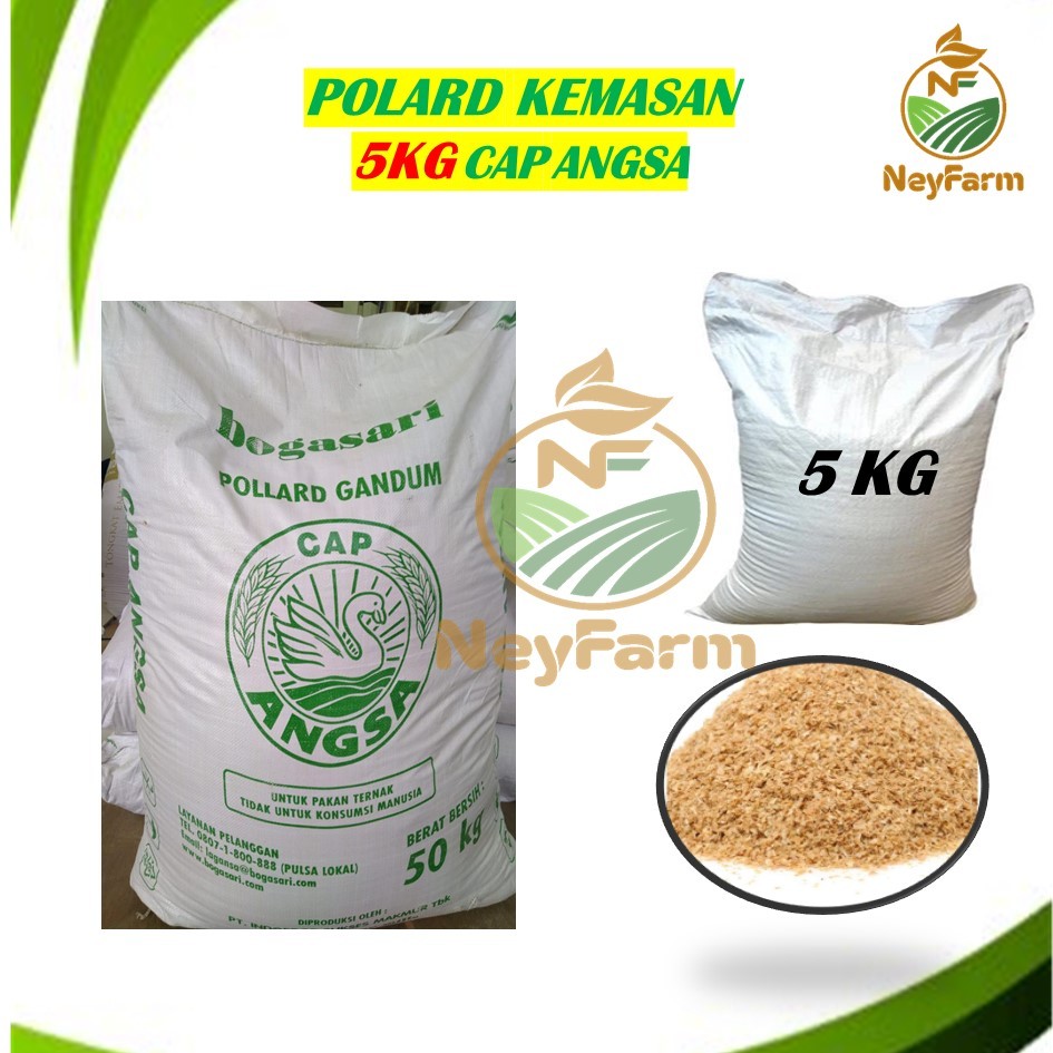 Pollard 5 kg Cap Angsa Bogasari Kemasan 5 kg Polar Makanan Ternak Pakan Ternak