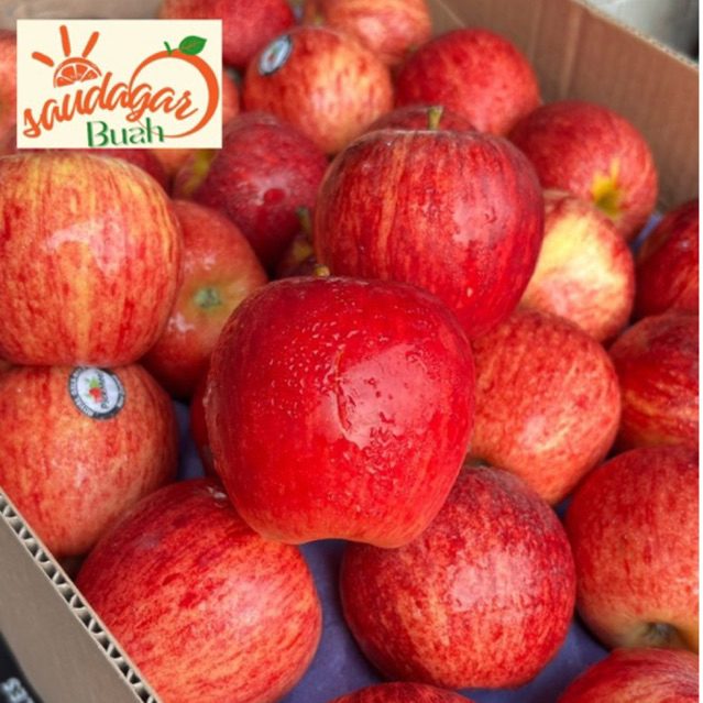 

BUAH APEL ROYAL GALA PREMIUM MANIS GARING 1KG