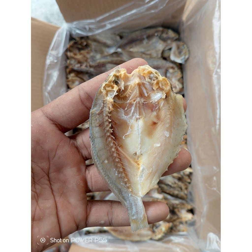 

Ikan Asin Samge Belah Ikan Asin Kepala Batu Ikan Asin Gulama Enak Gurih 250grm
