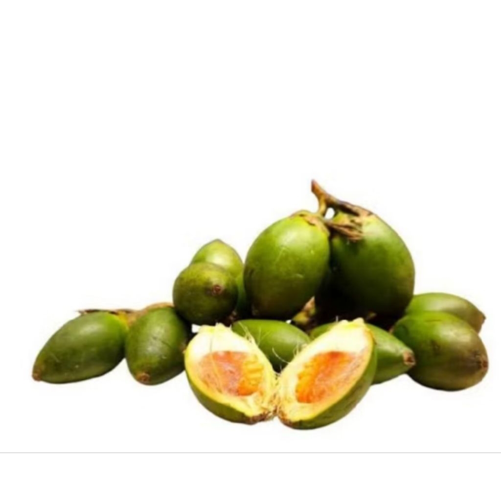 

Pinang muda/jebug muda/jambe ngora presh Herbal alami siap kirim