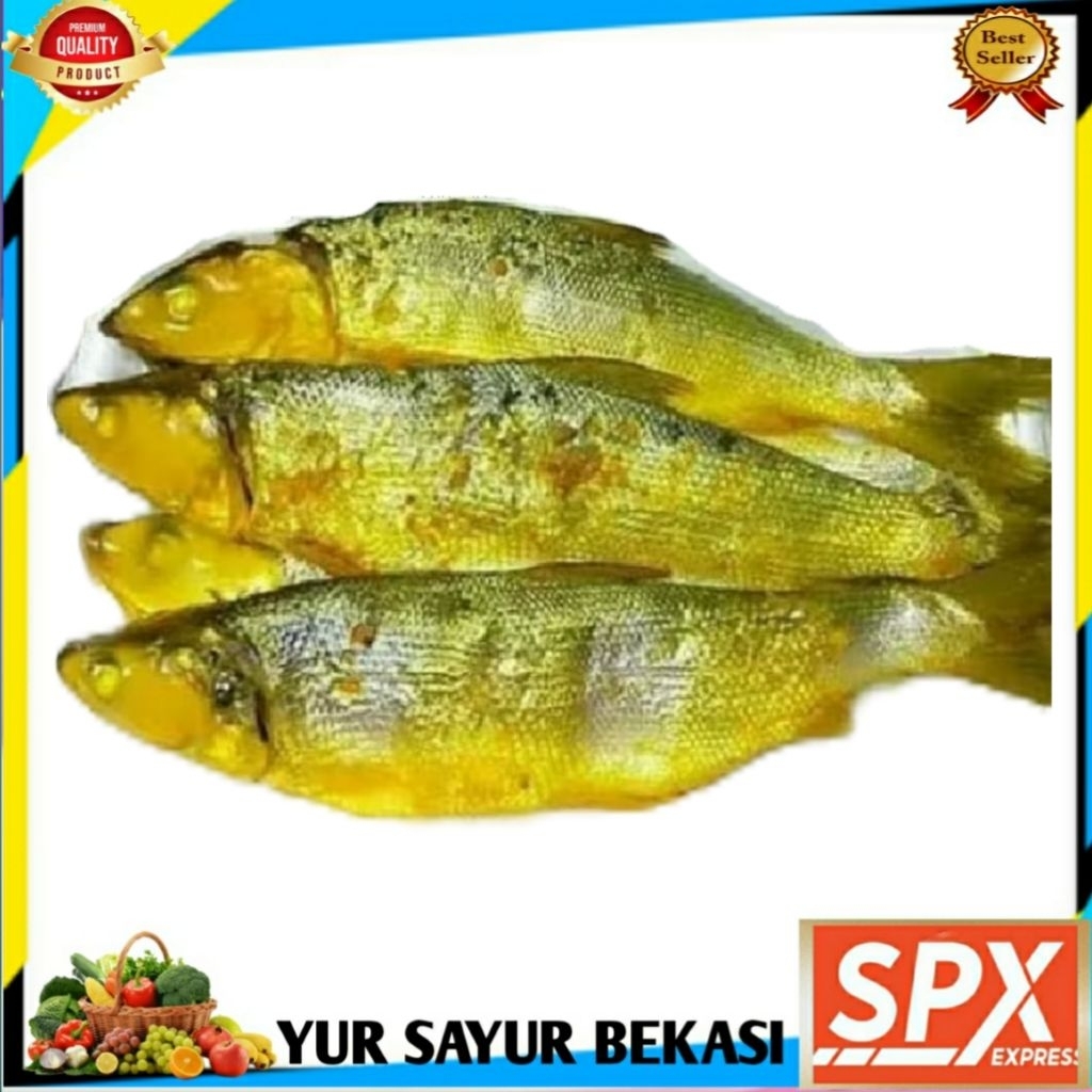 

Bandeng Presto Per Ekor