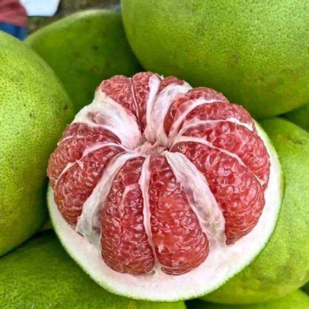 

jeruk pamelo muria berat 1kg