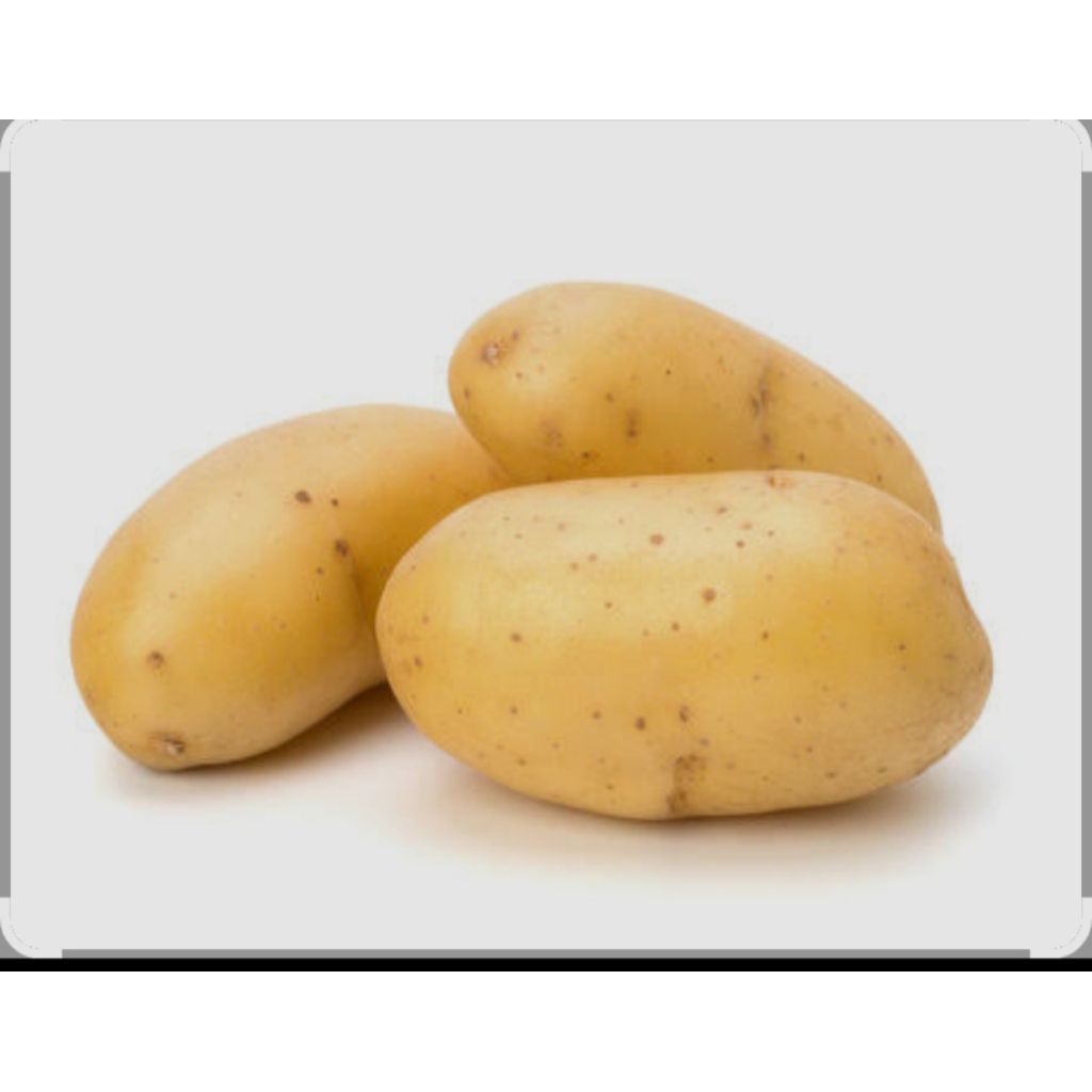 

KentangDiengUkuranBesar