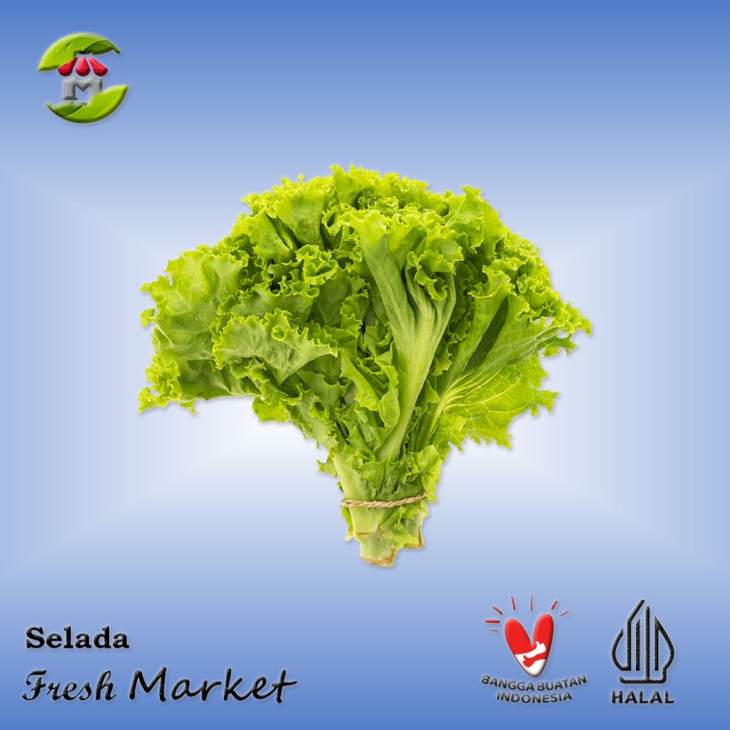 

[BOGOR] Selada Segar Pack 250gr